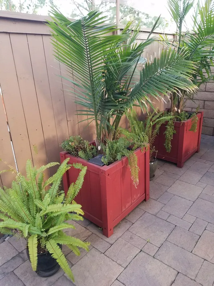 Affordable yard cleanup service in Fountain Valley, CA by Green Environment Land care