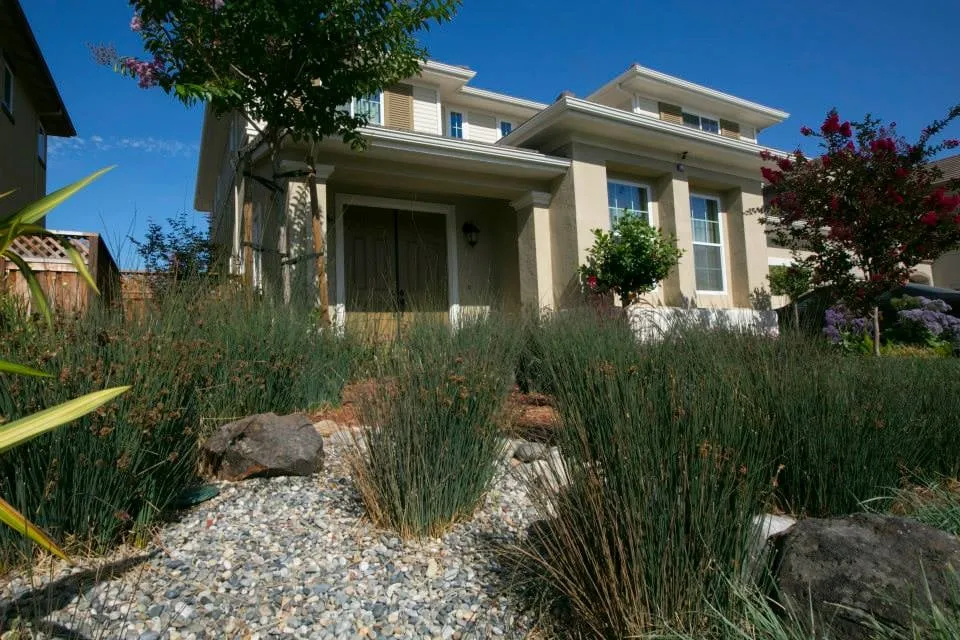 Reliable yard cleanup service in Watsonville, CA - Green Environment Landscape