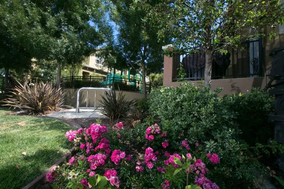 Affordable yard cleanup service for homes in Watsonville, CA by Green Environment Landscape