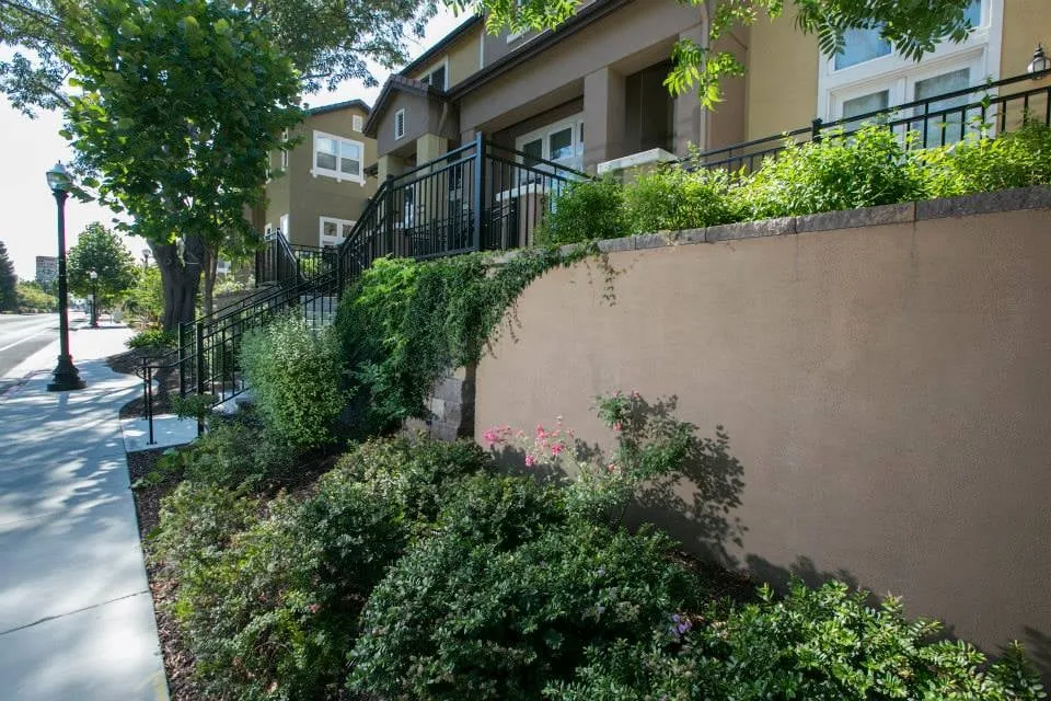 Custom yard maintenance in Watsonville, CA - Green Environment Landscape