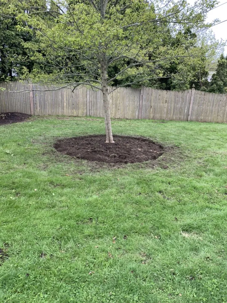 Professional landscape installation for residential properties in Fall River, MA by Green Environment Landscaping & Snow