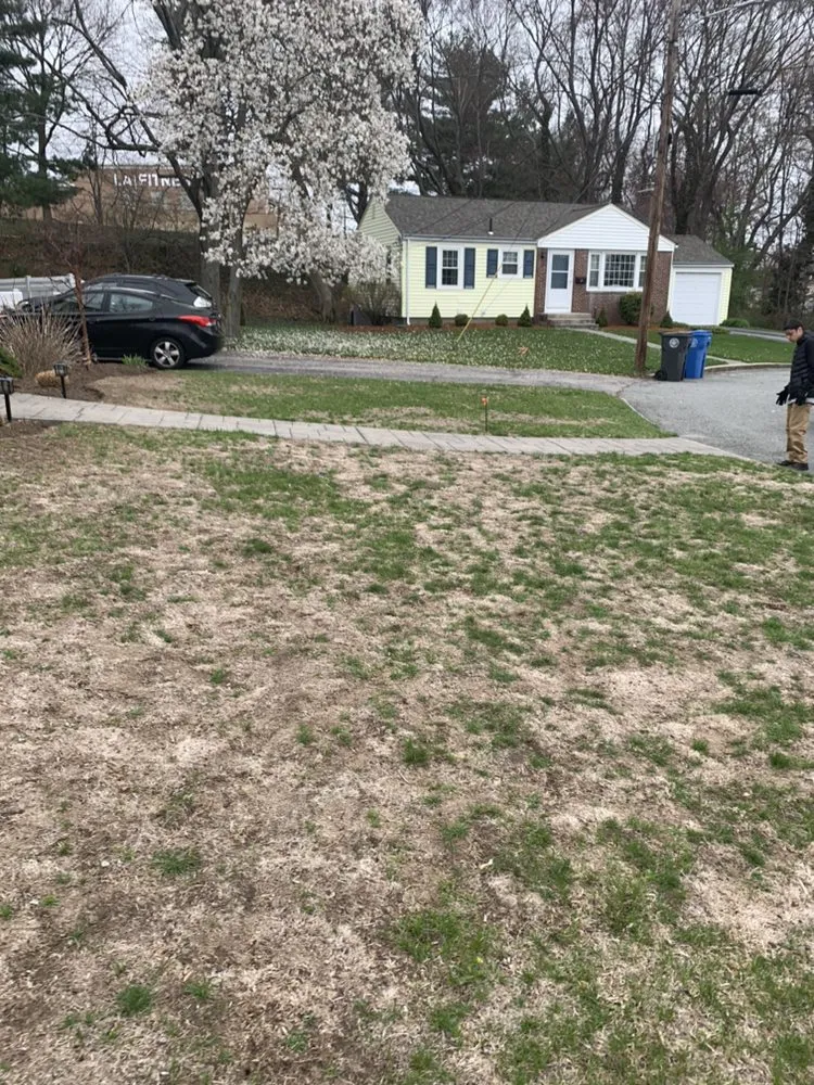 Expert yard cleanup service experts serving Fall River, MA - Green Environment Landscaping & Snow