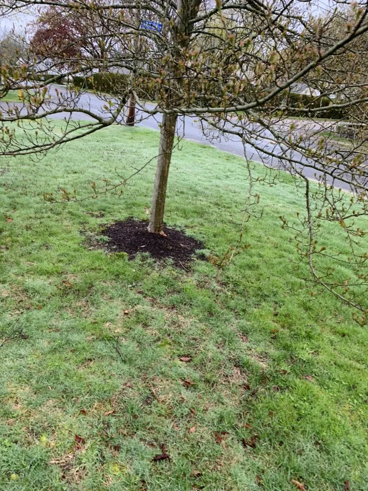 Affordable landscaping services in Fall River, MA by Green Environment Landscaping & Snow