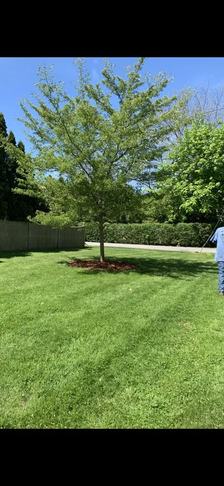 Top-rated landscape installation with custom design across Fall River, MA - Green Environment Landscaping & Snow