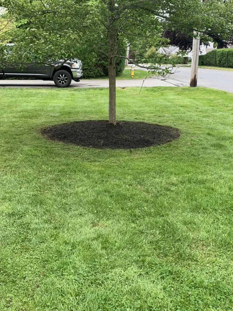 Affordable yard cleanup service in Fall River, MA by Green Environment Landscaping & Snow