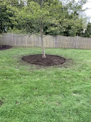 Green Environment Landscaping & Snow