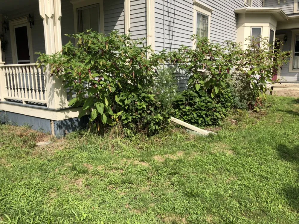 Custom yard maintenance for beautiful yards in Lincoln, RI by Green Environment Landscaping