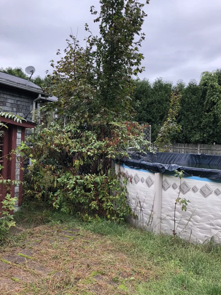 Reliable yard maintenance for beautiful yards across Lincoln, RI - Green Environment Landscaping