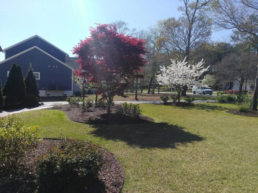 Local landscaping services experts serving Emerald Isle, NC - Green Envy Landscape & Design