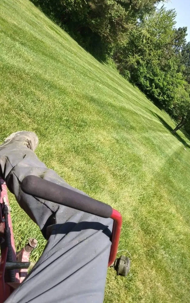 Local landscaping services in Hazel Park, MI by Green Envy Landscape