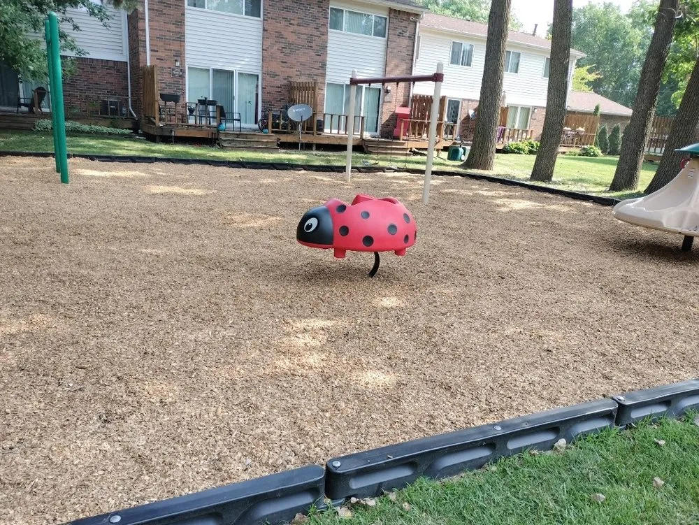 Custom yard cleanup service for beautiful yards in Hazel Park, MI by Green Envy Landscape