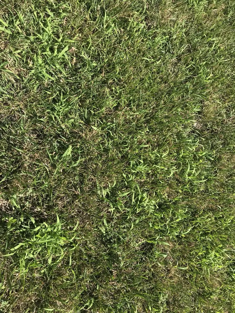 Reliable garden landscaping near you across Maryland Heights, MO - Green Envy Lawn Care