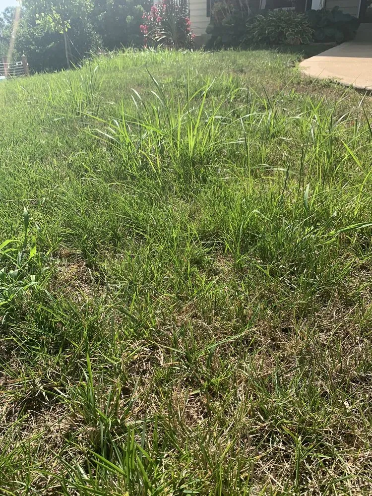 Custom lawn mowing service in Maryland Heights, MO - Green Envy Lawn Care