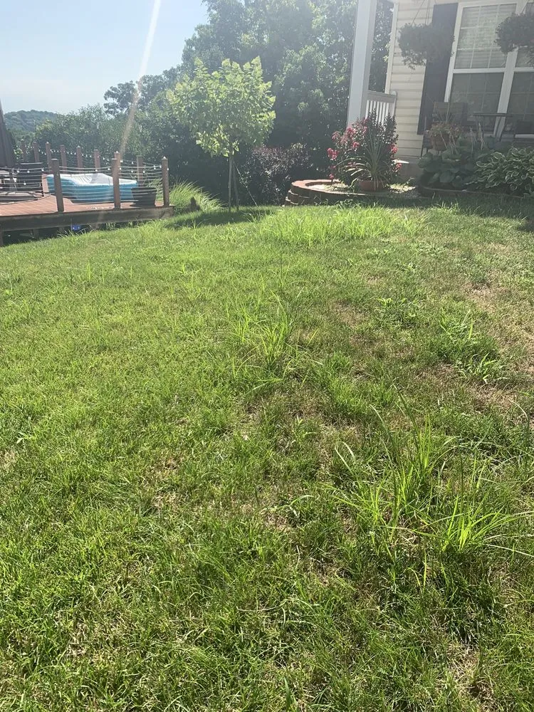 Expert garden landscaping in Maryland Heights, MO by Green Envy Lawn Care