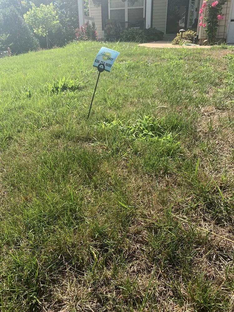 Top-rated yard cleanup service experts serving Maryland Heights, MO - Green Envy Lawn Care