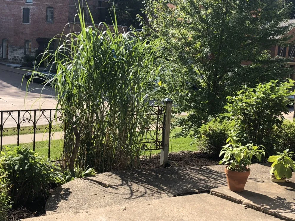 Affordable outdoor landscaping with custom design across Dubuque, IA - Green Envy Lawns