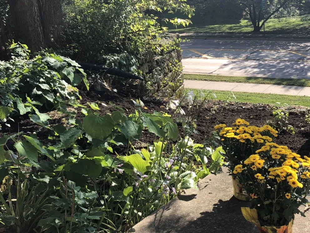 Affordable lawn mowing service in Dubuque, IA - Green Envy Lawns