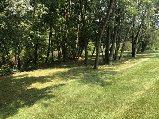 Green Envy Lawns Logo