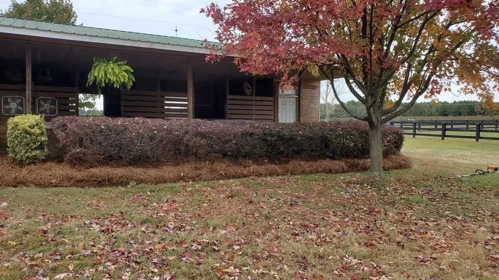 Trusted lawn care service experts serving Aiken, SC - Green Envy of the CSRA