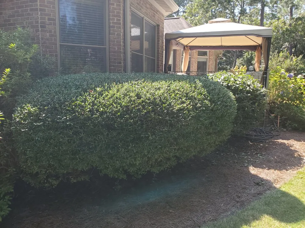 Local residential landscaping experts serving Aiken, SC - Green Envy of the CSRA