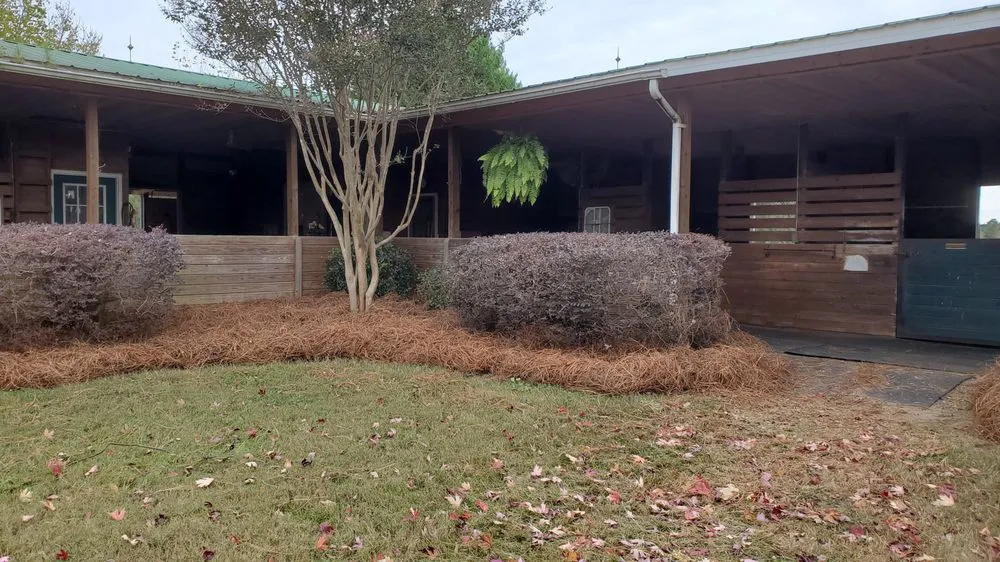 Expert residential landscaping with custom design across Aiken, SC - Green Envy of the CSRA