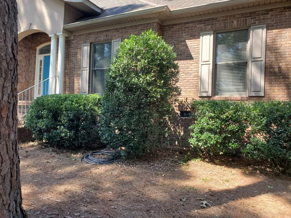 Custom residential landscaping for homes across Aiken, SC - Green Envy of the CSRA