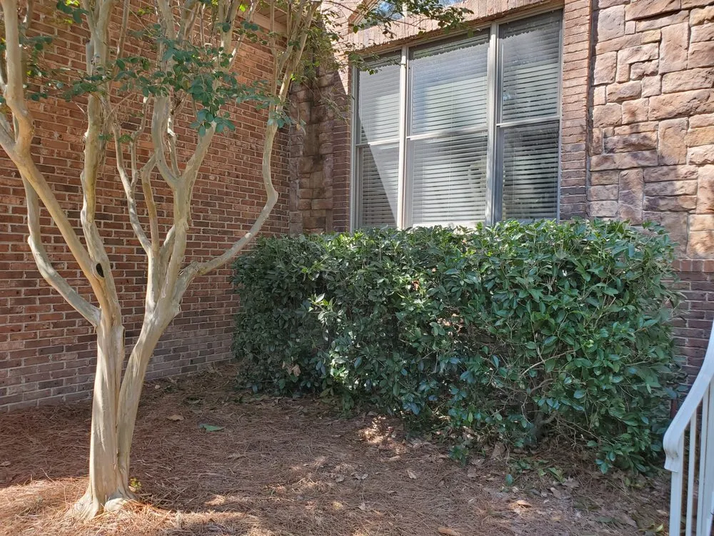 Trusted garden landscaping in Aiken, SC by Green Envy of the CSRA