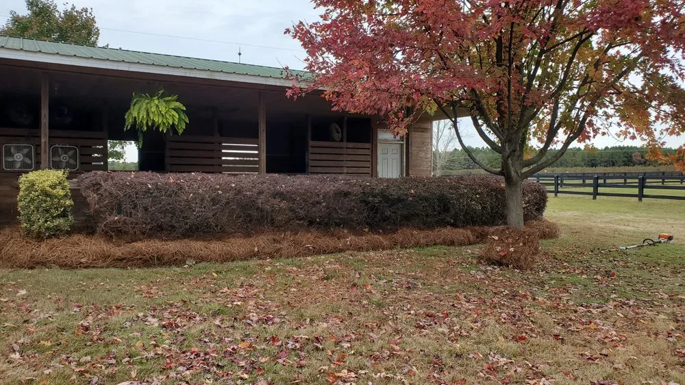 Trusted lawn mowing service for beautiful yards across Aiken, SC - Green Envy of the CSRA