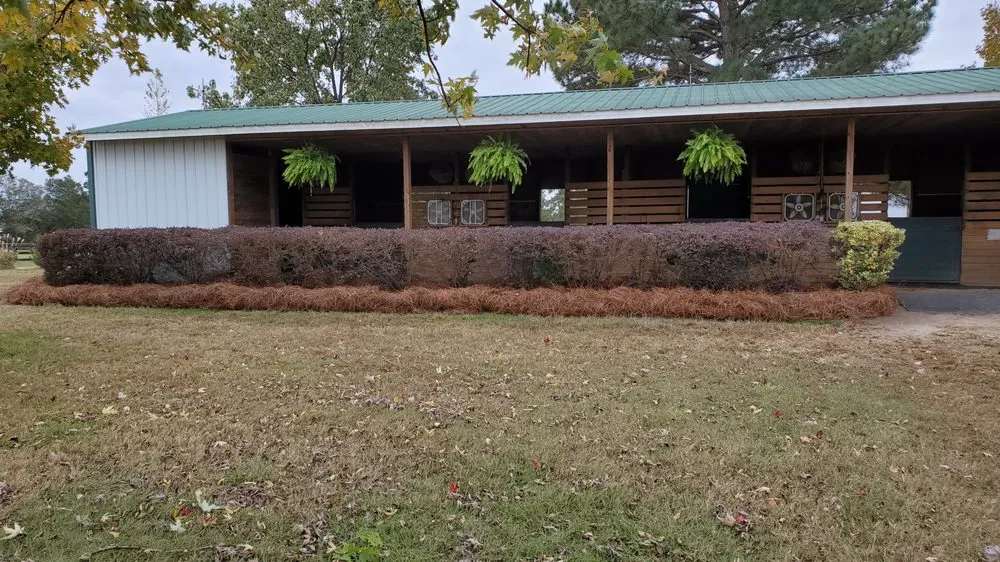 Professional yard cleanup service experts serving Aiken, SC - Green Envy of the CSRA