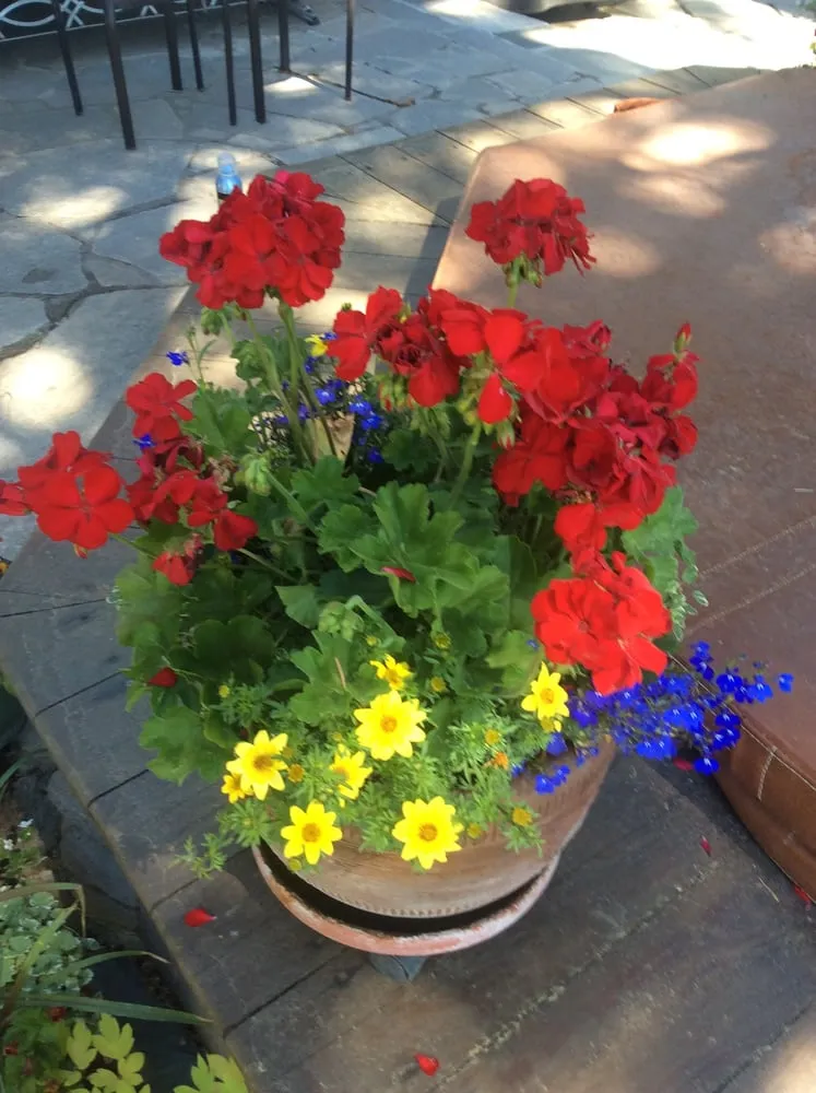 Custom landscape design in Tahoe City, CA - Green Envy