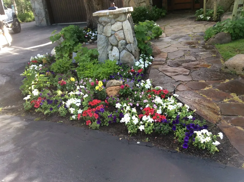 Reliable lawn care service in Tahoe City, CA by Green Envy