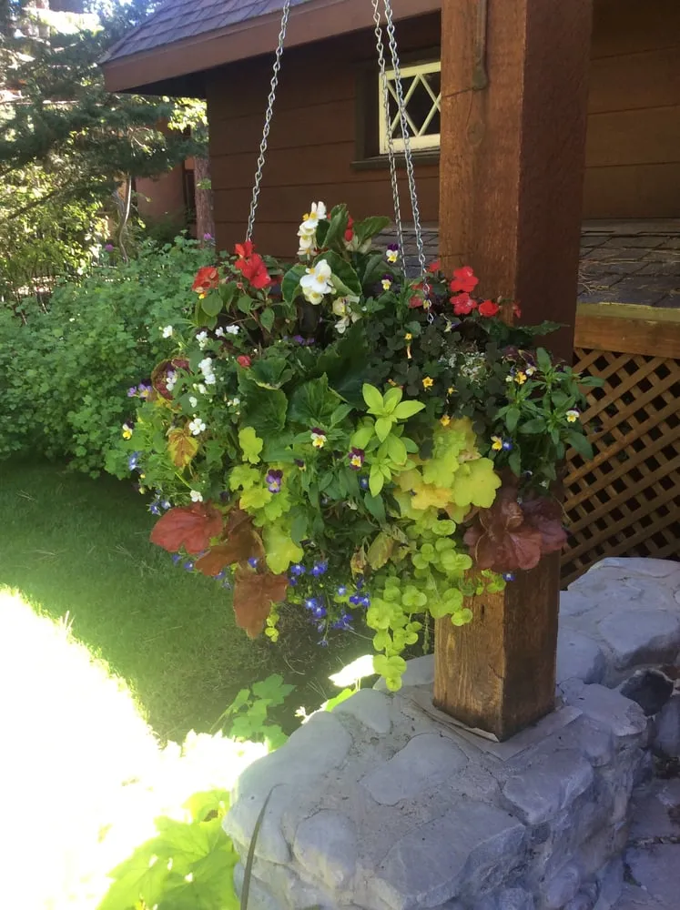 Expert lawn care service for year-round maintenance across Tahoe City, CA - Green Envy
