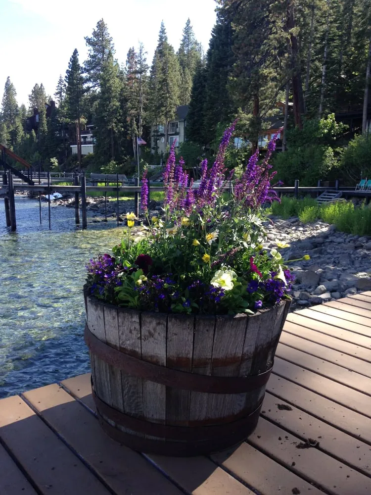 Trusted landscape installation experts serving Tahoe City, CA - Green Envy