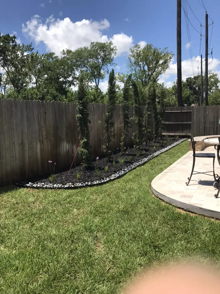 Expert yard cleanup service in Sugar Land, TX by Green Envy Texas