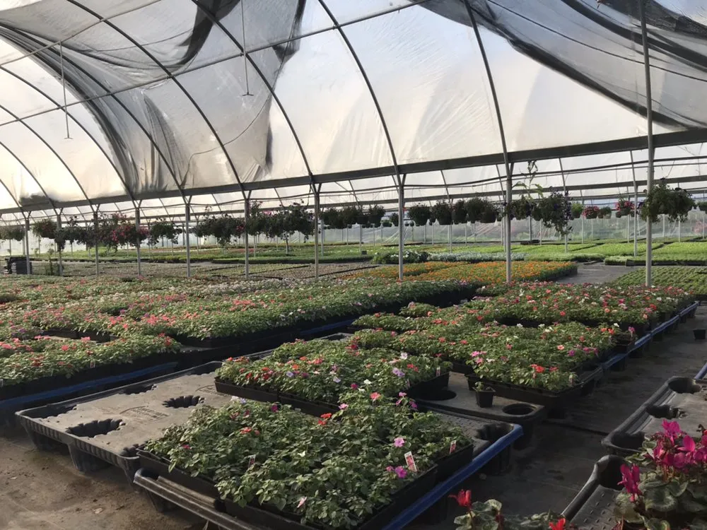 Affordable lawn care service for residential properties across Sugar Land, TX - Green Envy Texas