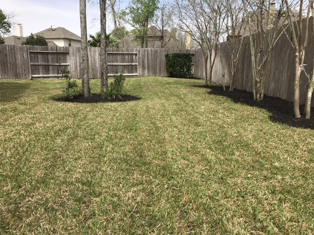 Affordable yard maintenance in Sugar Land, TX by Green Envy Texas