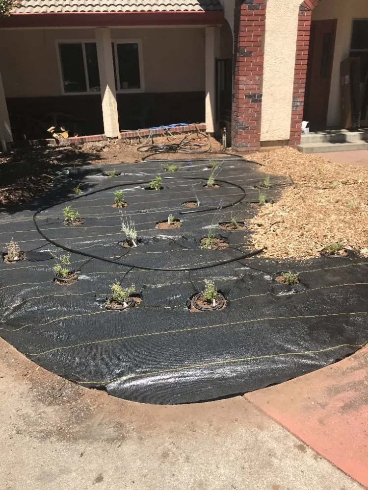 Affordable landscape installation for beautiful yards across Chico, CA - Green Era Landscaping