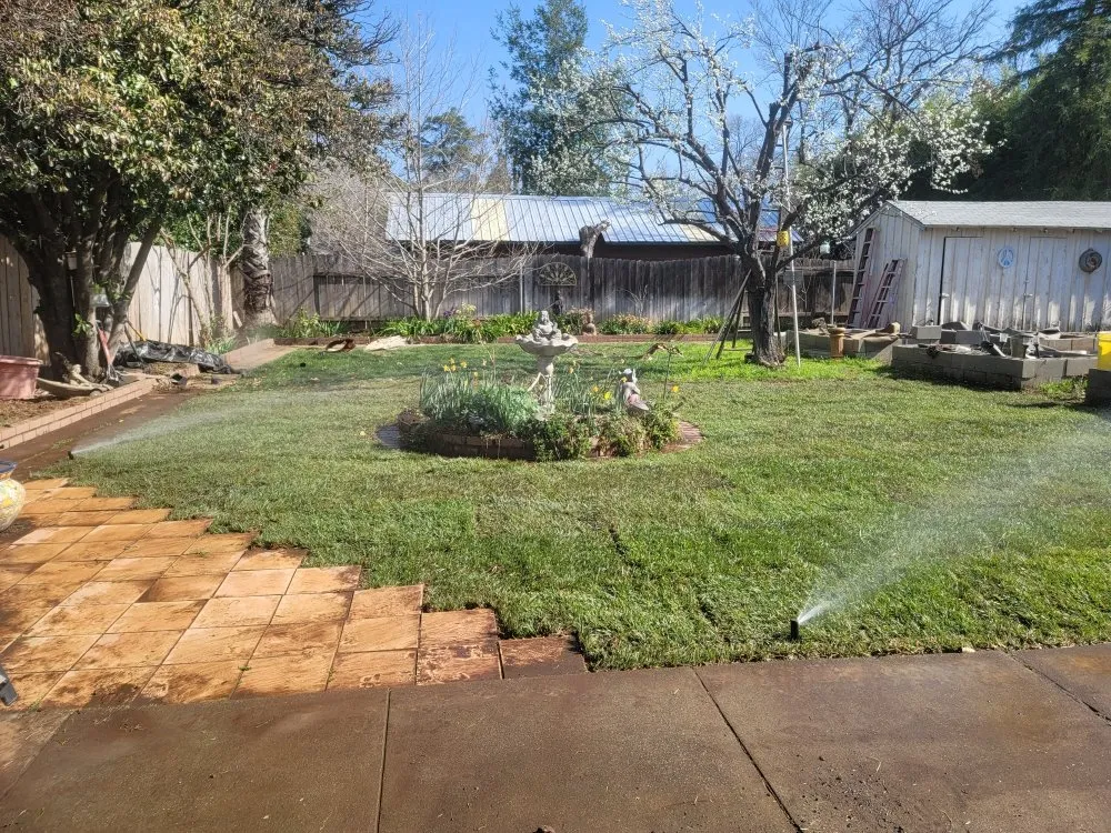Local yard cleanup service in Chico, CA - Green Era Landscaping