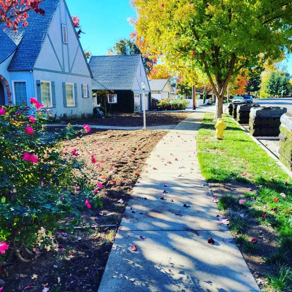 Affordable yard cleanup service experts serving Chico, CA - Green Era Landscaping