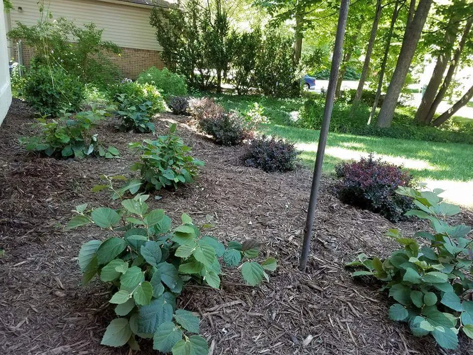 Affordable landscaping services for beautiful yards in Ypsilanti, MI by Green Escapes Gardening