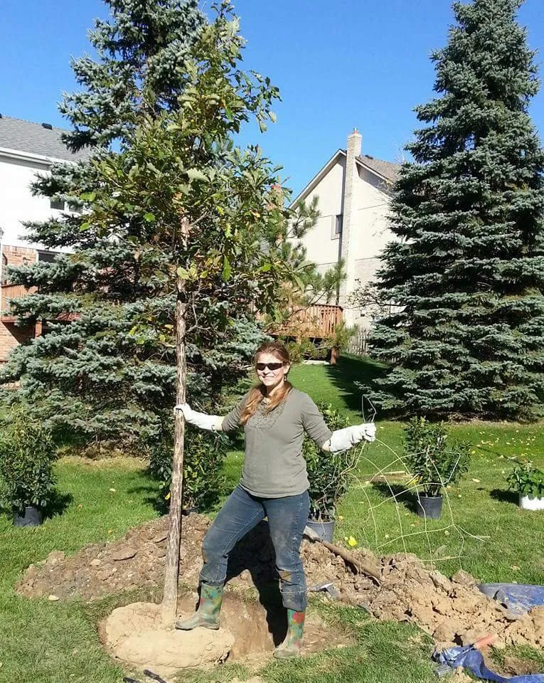 Top-rated landscaping services for beautiful yards across Ypsilanti, MI - Green Escapes Gardening