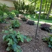 Top-rated landscaping services for year-round maintenance across Ypsilanti, MI - Green Escapes Gardening