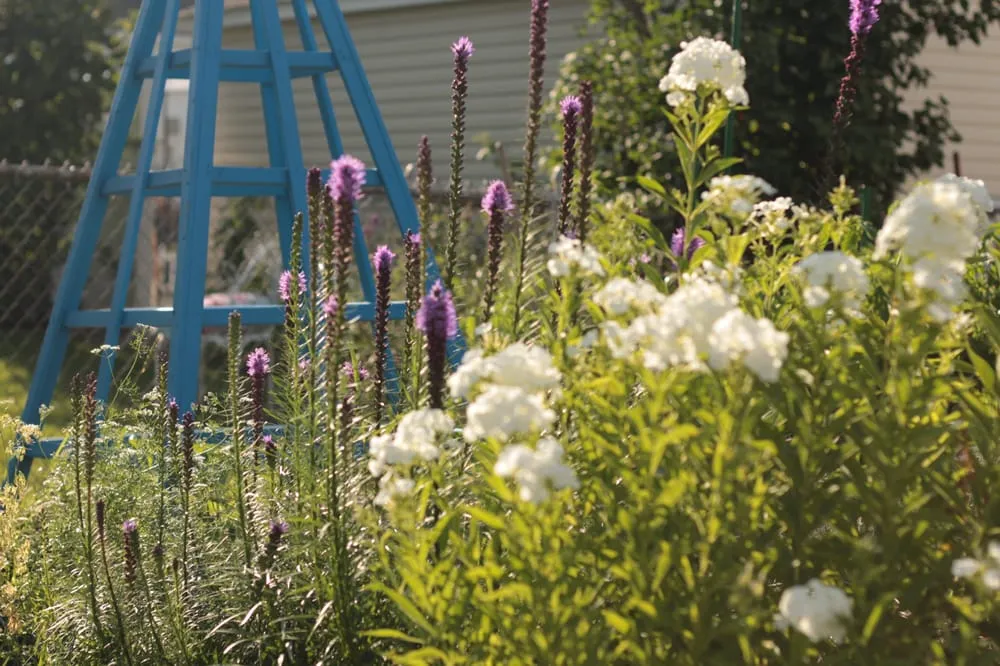 Expert lawn mowing service with custom design in Ypsilanti, MI by Green Escapes Gardening