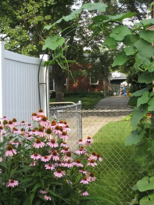 Custom garden landscaping for year-round maintenance in Ypsilanti, MI by Green Escapes Gardening