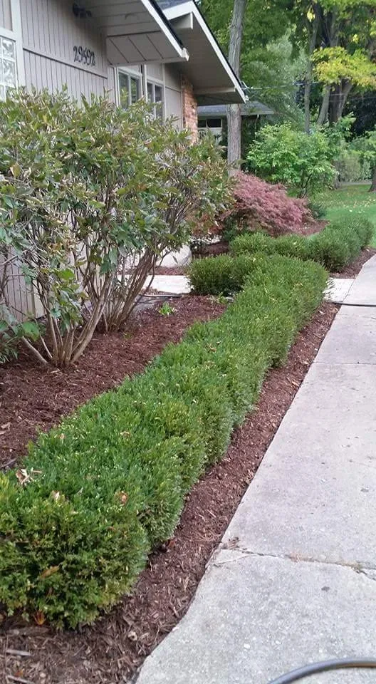 Custom yard maintenance experts serving Ypsilanti, MI - Green Escapes Gardening