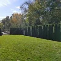 Local lawn mowing service experts serving Ypsilanti, MI - Green Escapes Gardening