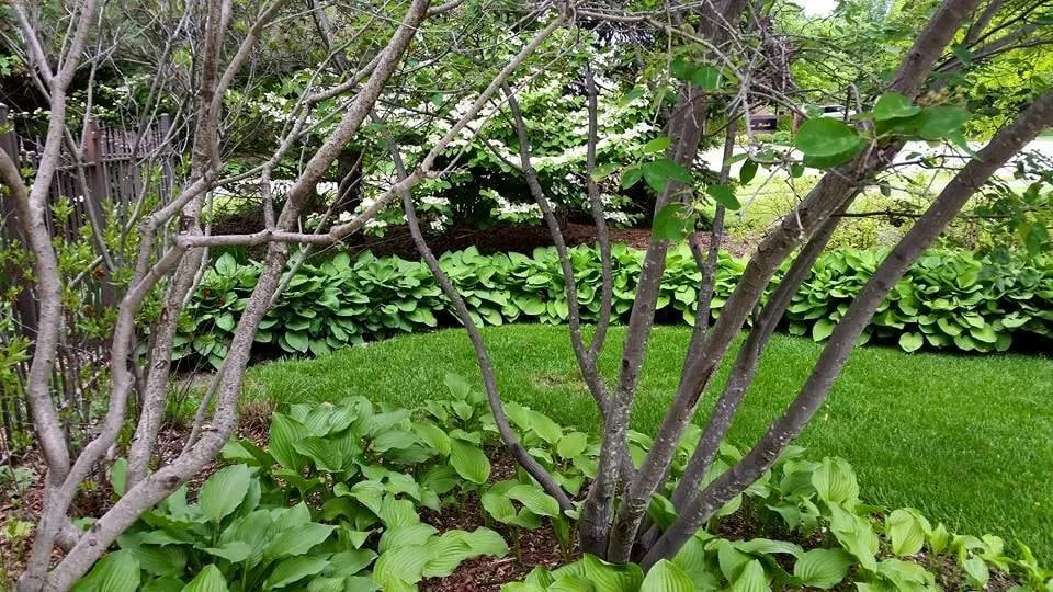 Trusted yard maintenance experts serving Ypsilanti, MI - Green Escapes Gardening