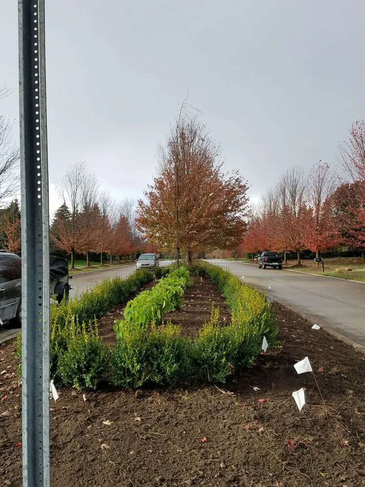 Trusted landscaping services in Ypsilanti, MI by Green Escapes Gardening