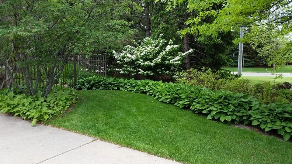 Professional outdoor landscaping for homes across Ypsilanti, MI - Green Escapes Gardening