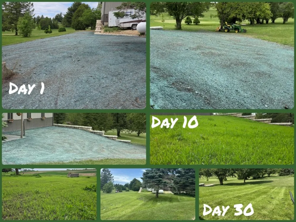 Professional yard maintenance for beautiful yards across Hazel Green, WI - Green Escapes Lawn & Landscape